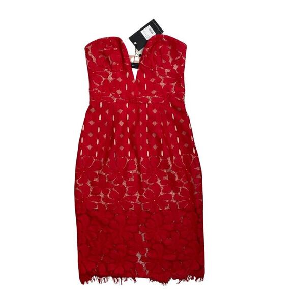 NWT Stylestalker Cassia Lace Strapless Dress Wild Fig Small - Picture 13 of 13